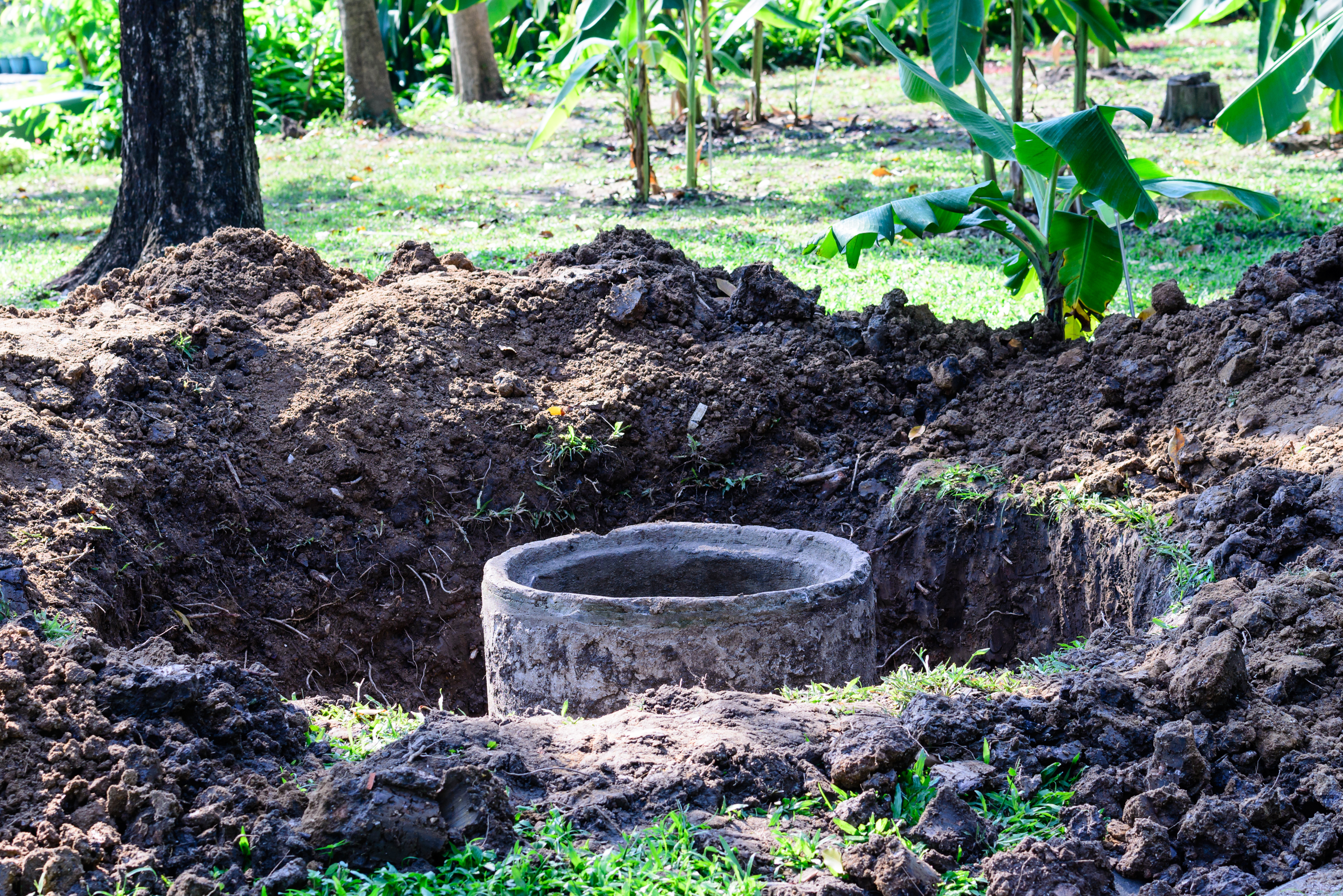 What does a septic tank lid look like