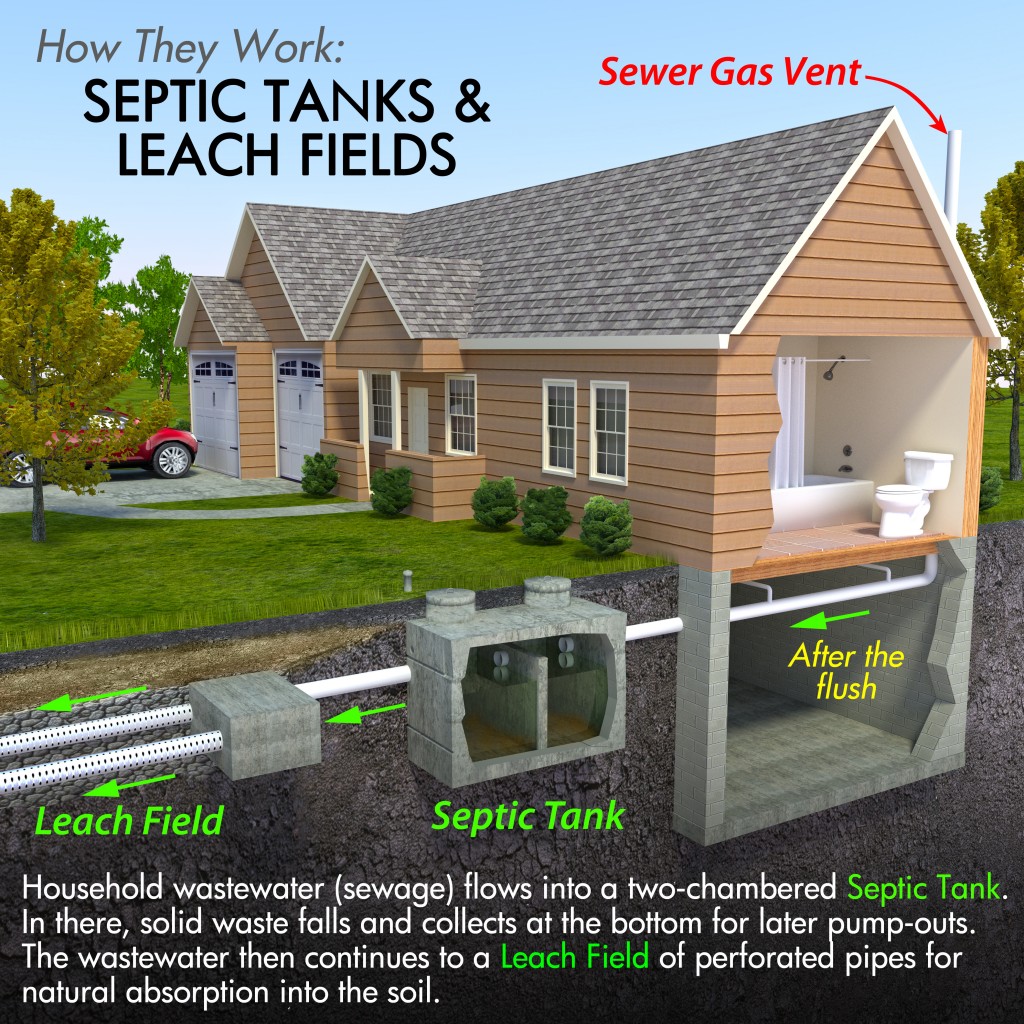 Septic Tank and Leach Field Diagram