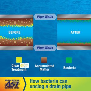 How bacteria unclogs a drain pipe