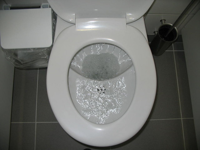septic system - safe to flush